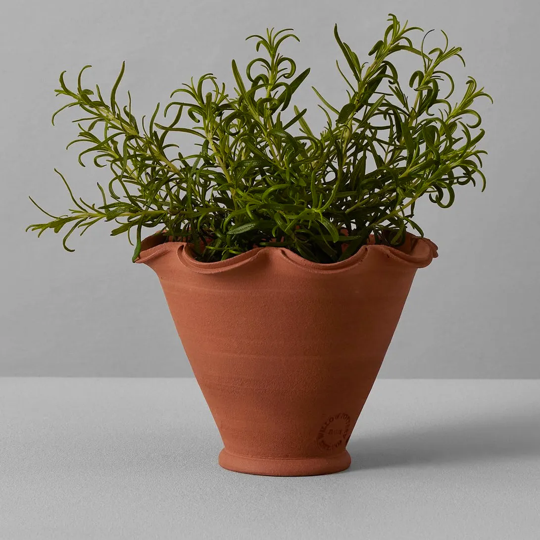 Toast Willow Pottery Terracotta Planter, £21