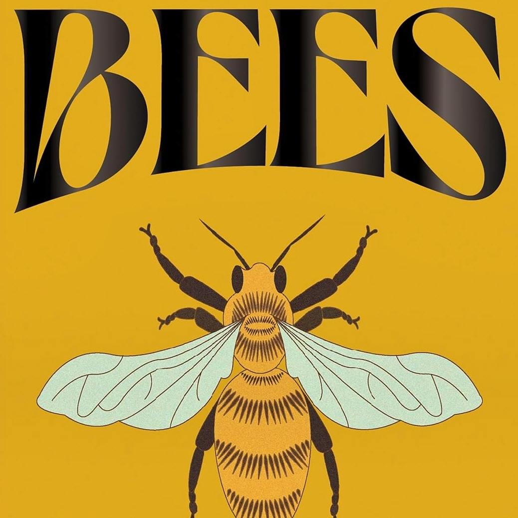 Bookshop Bees by Susan E Clark, £10