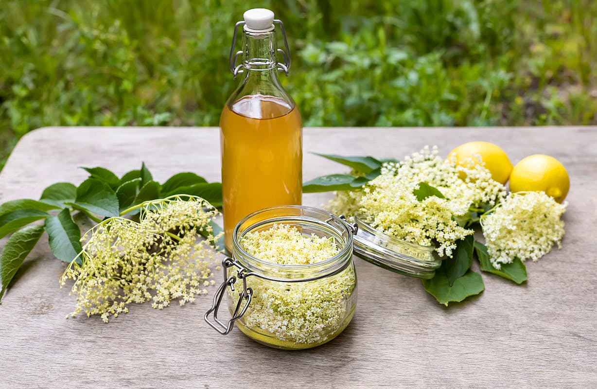 Summer Cordials To Make At Home