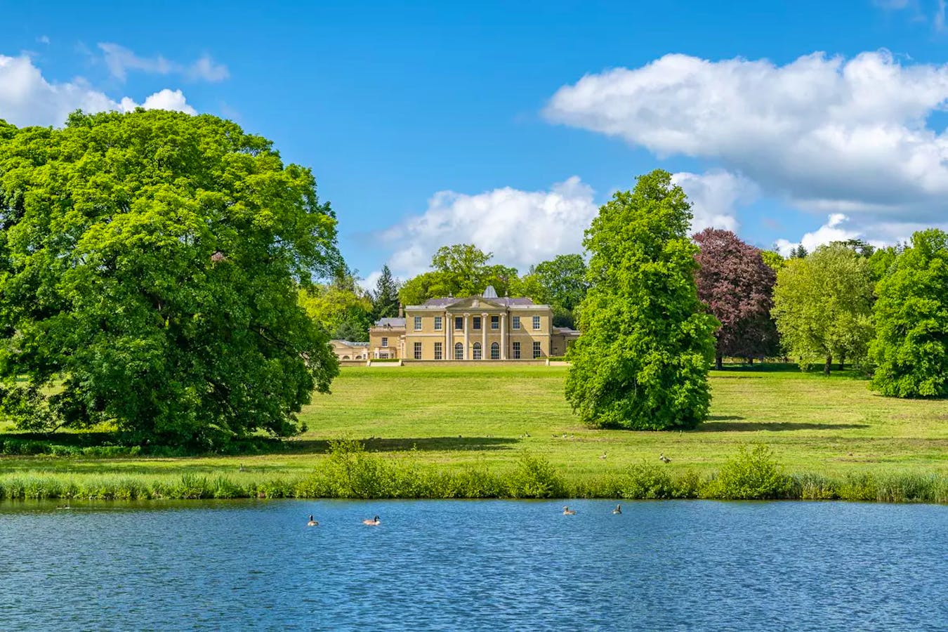 Laverstoke Park, Knight Frank