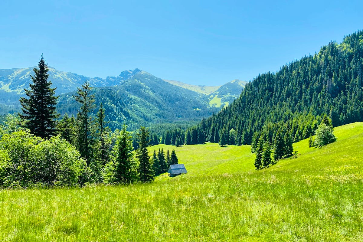 101 Family Holidays Coolcations Magda-tierney-63ClQ_cycAg-unsplash