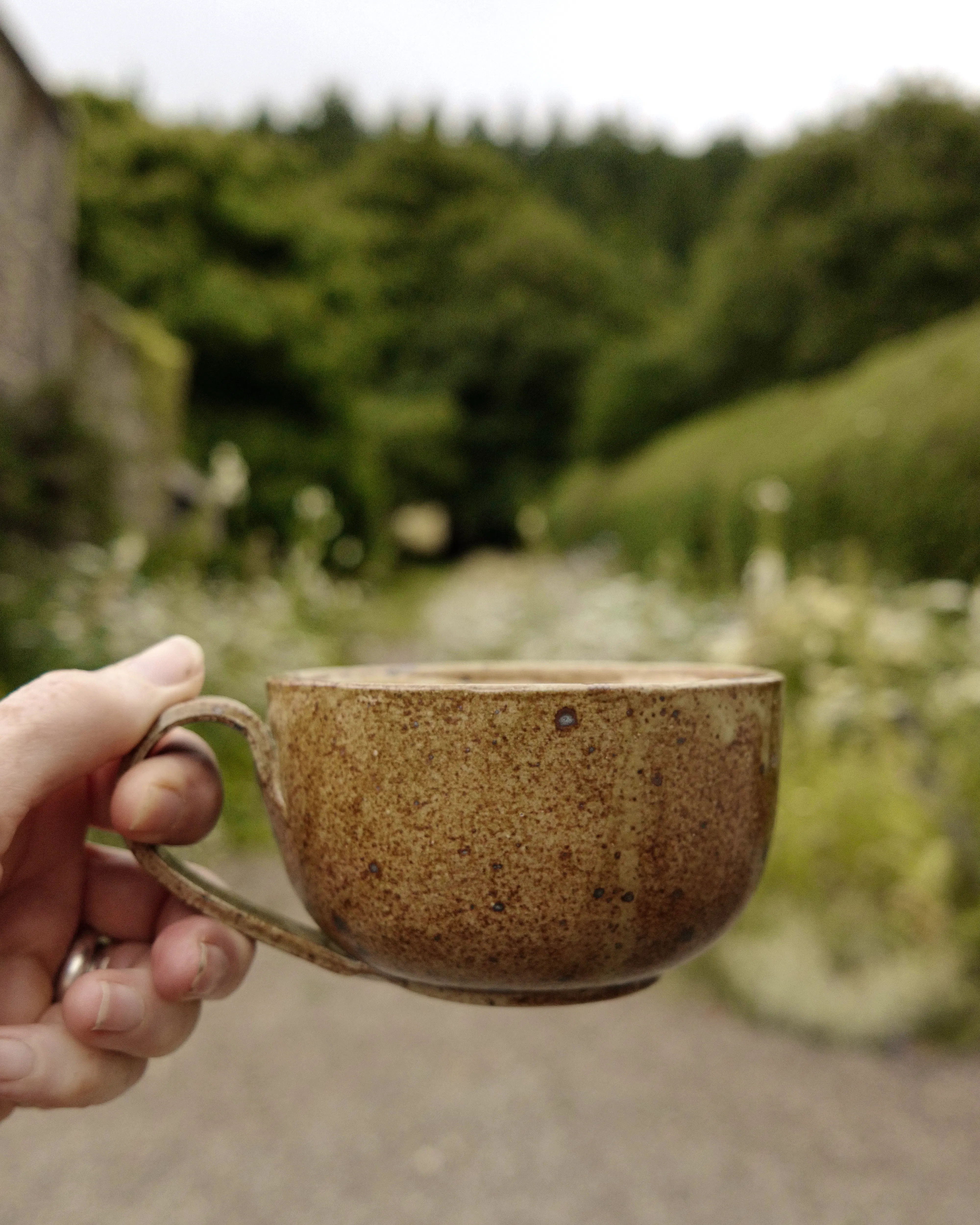 Studio Pottery Mug  