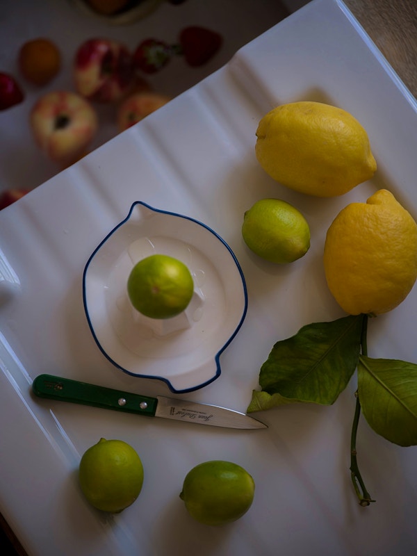 Ceramic Citrus Juicer