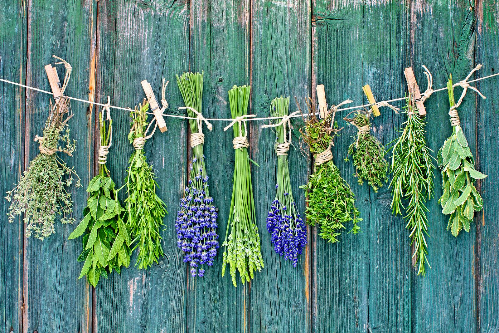 Bigstock-Herbs-24843032