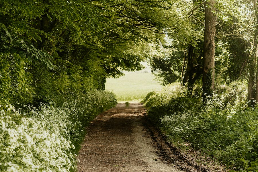 Staycation Buys Kate-cullen-lWXuHJszWU8-unsplash Copy