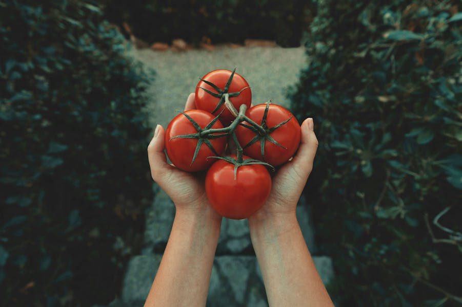 Tomato Recipes We Can’t Get Enough Of