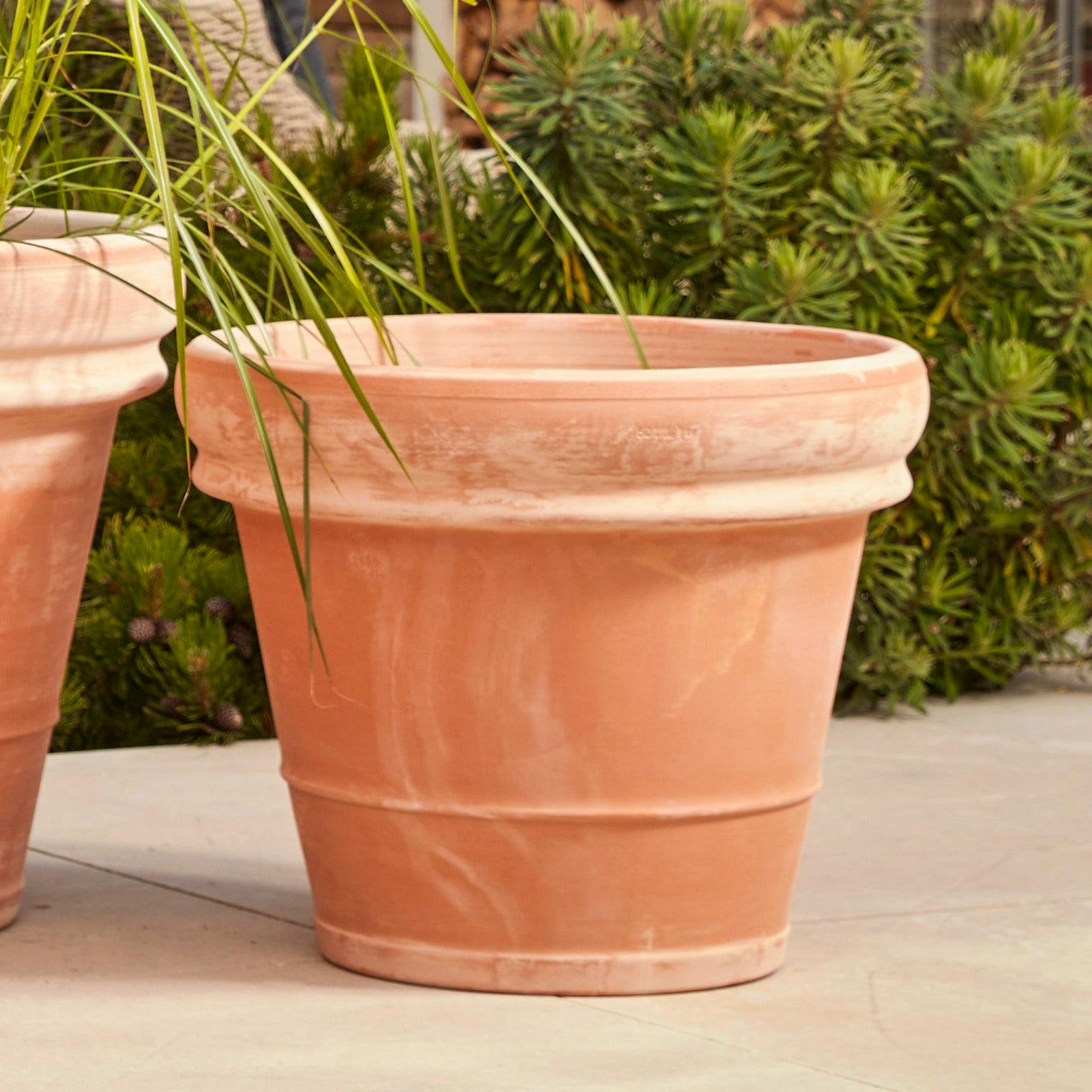 Gardenesque Bordo Italia Italian Terracotta Plant Pot, from £70