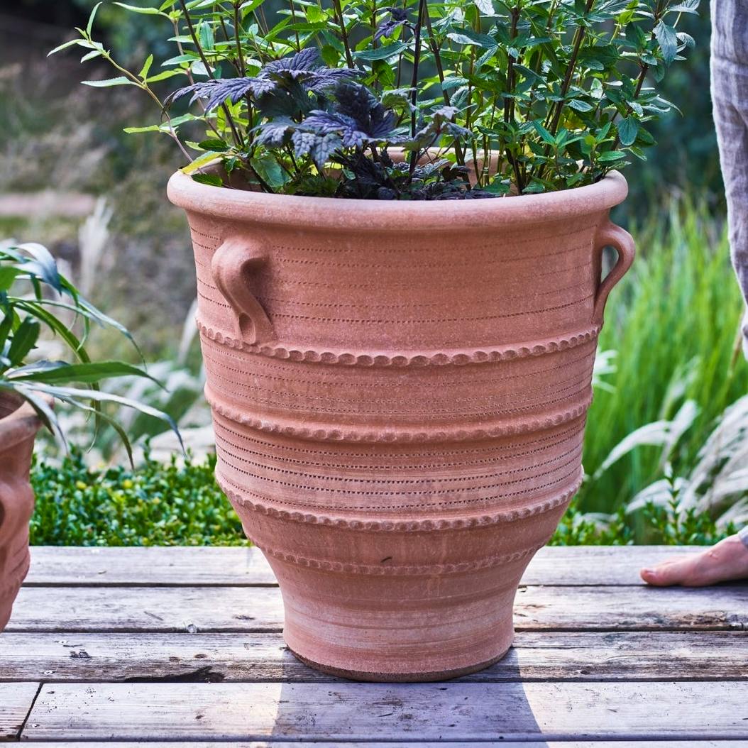 Rowen & Wren Thrapsano Terracotta Pot, Large, £138