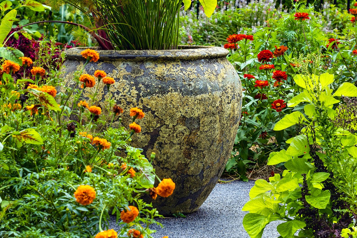 Garden Pots David-clode-TOYG-sNulI0-unsplash Copy