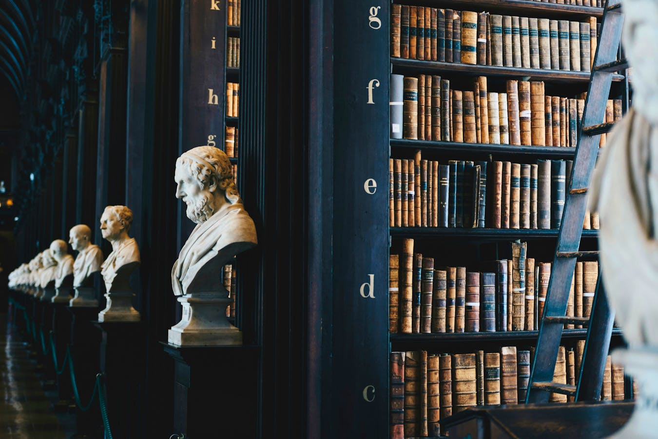Must-Read New History Books