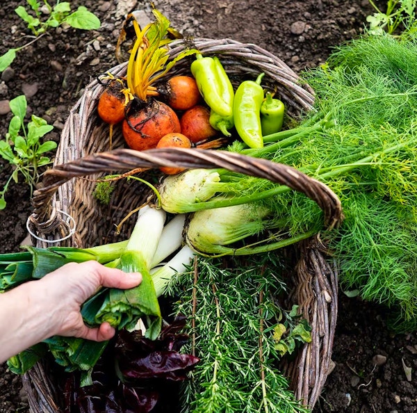 Foodie Hotels Ballymaloe Farm To Table