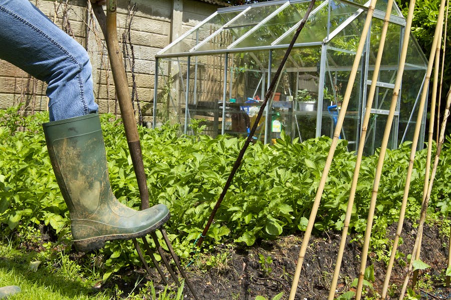 Bigstock-Working-On-An-Allotment-22542959
