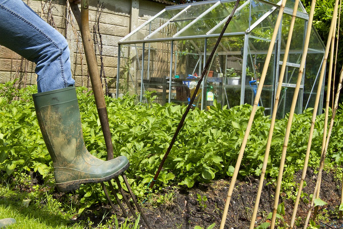 Bigstock-Working-On-An-Allotment-22542959