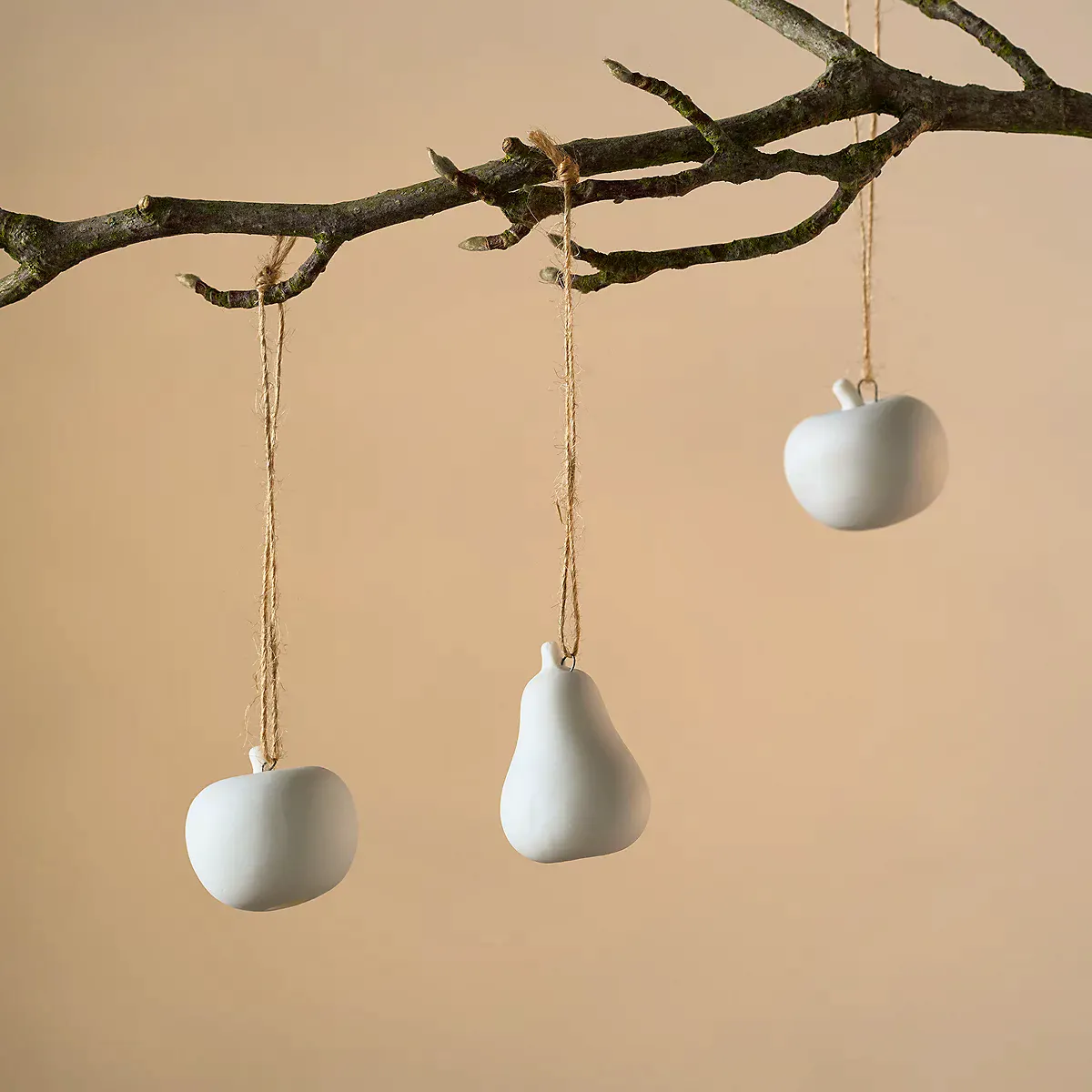 Mini Apple And Pear Decorations £15