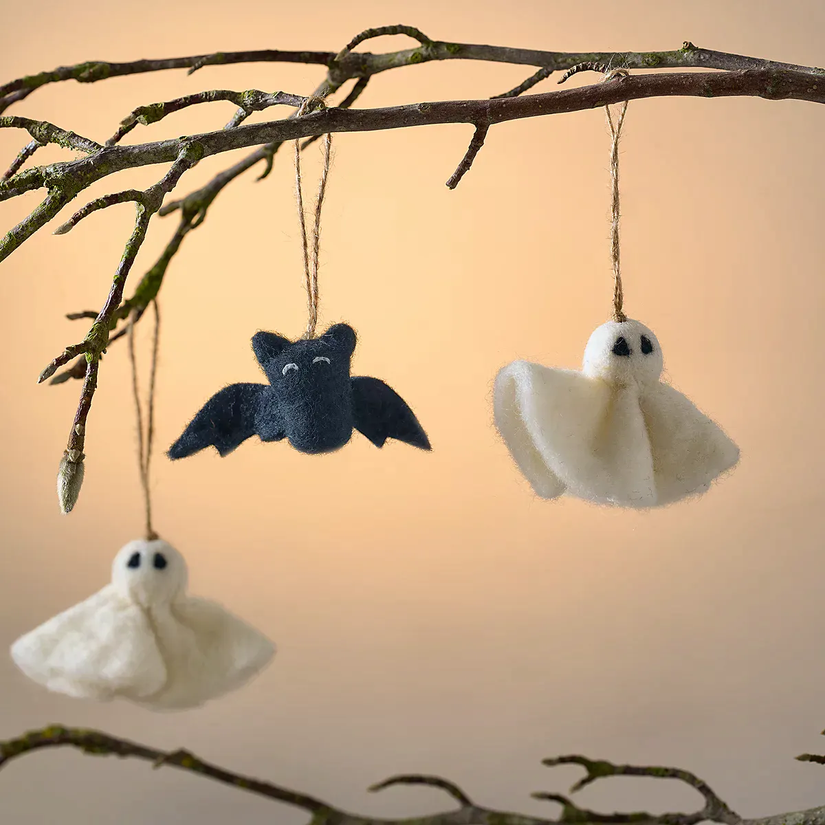 Felt Ghost And Bat Decorations £15