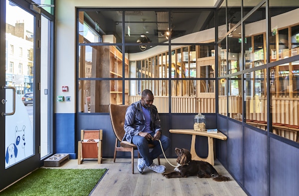 Wagworks 8