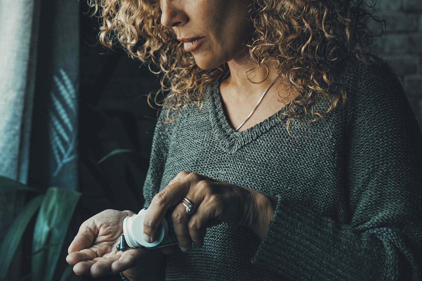 Menopause Supplements