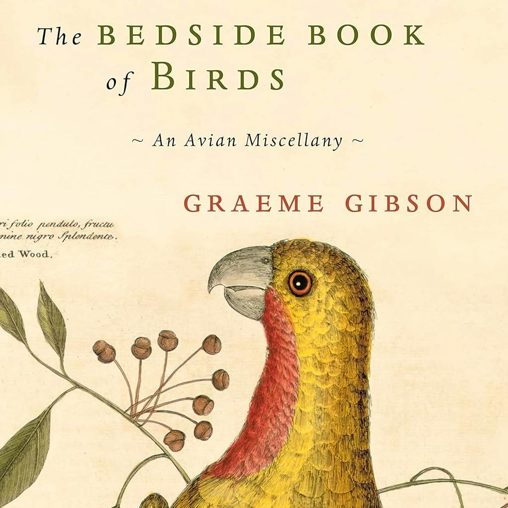 Daunt Books The Bedside Book Of Birds, Graeme Gibson, £45