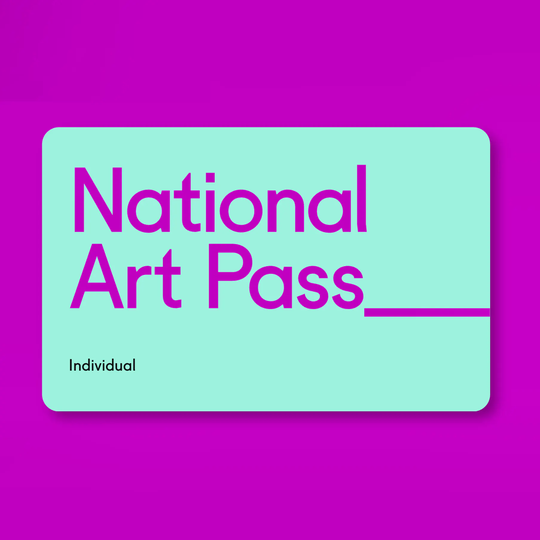Art Fund National Art Pass, £37.50