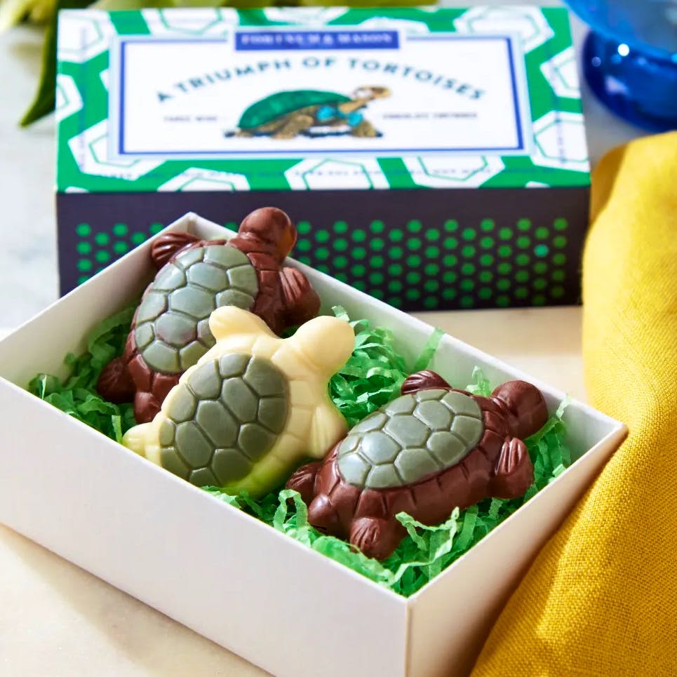 Fortnum & Mason A Triumph Of Chocolate Tortoises, £7.95