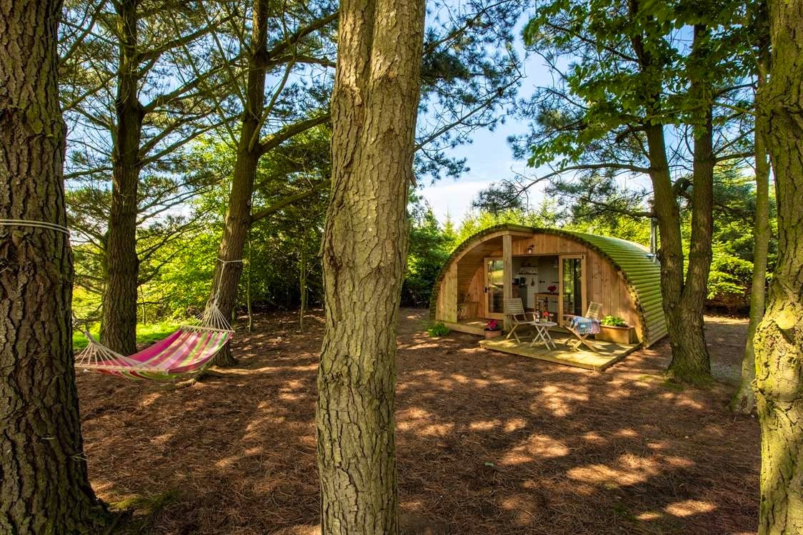 Unique Hideaways Dog Friendly Wildwood Hideaway Roc Cornwall