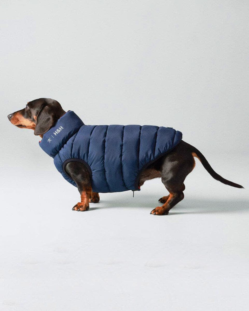 Hugo & Hudson Reversible Puffer Jacket, £40