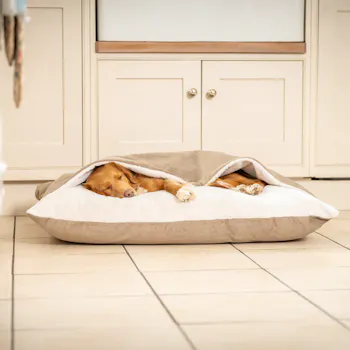 Lords & Labradors