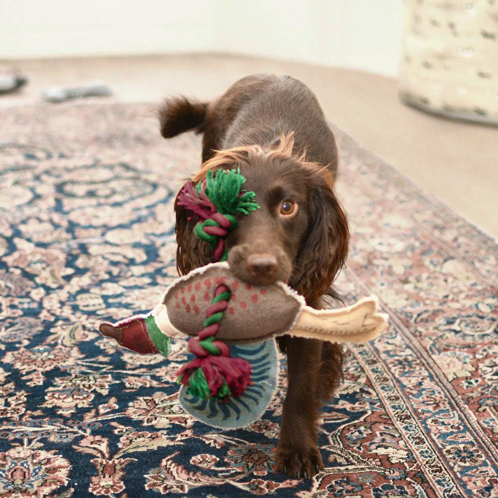Sophie Allport Pheasant Dog Toy, £15