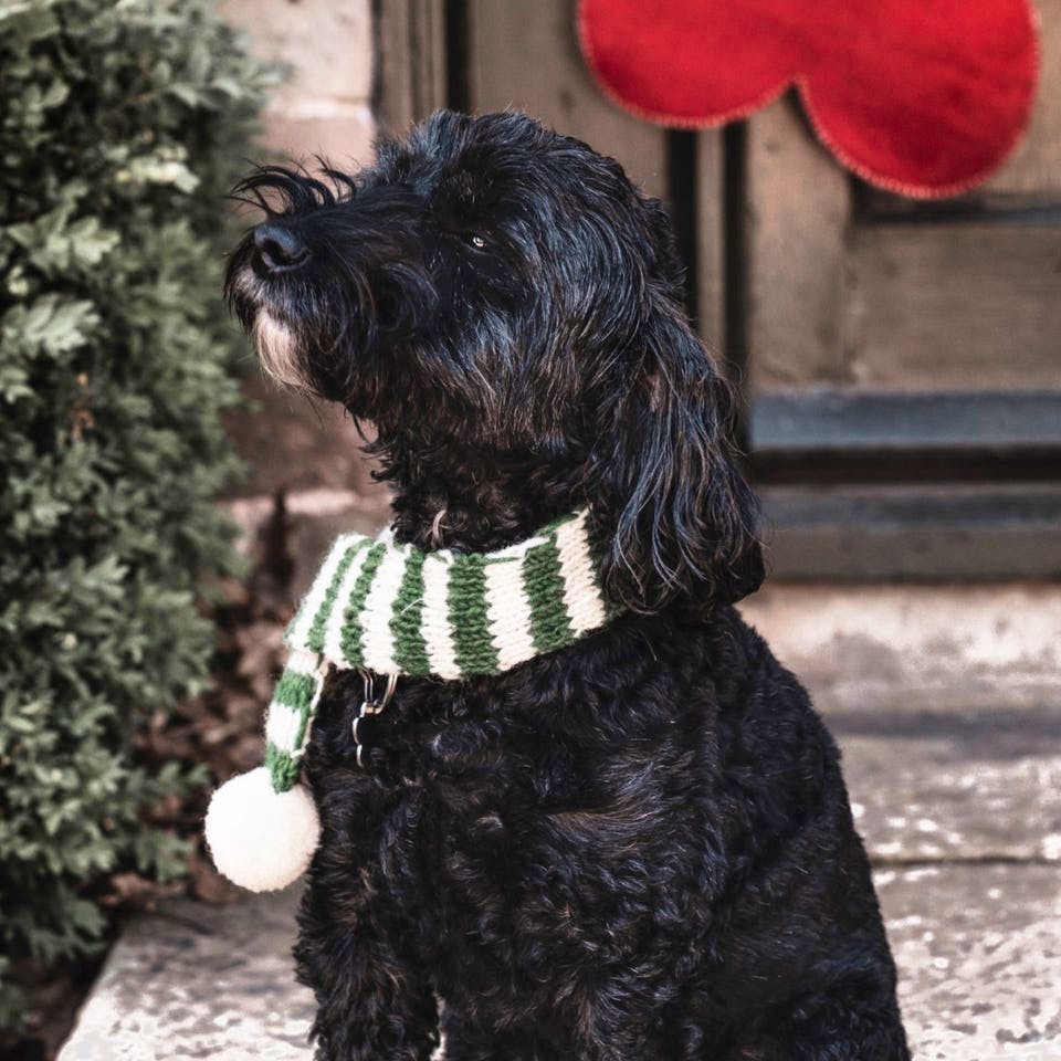 Daylesford Striped Dog Scarf, £12