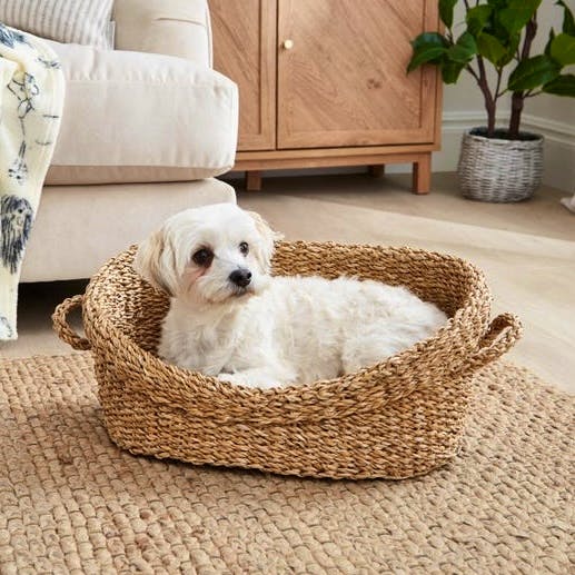 Dunelm Seagrass Pet Bed, from £25