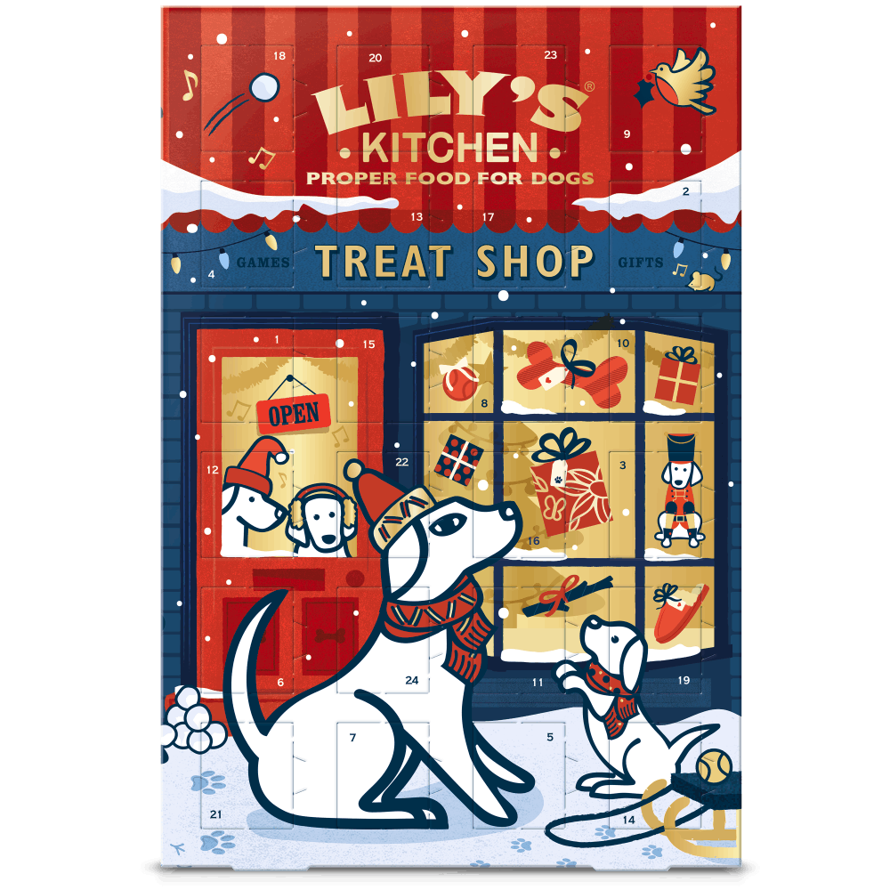 Lily’s Kitchen Advent Calendar for Dogs, £10.50