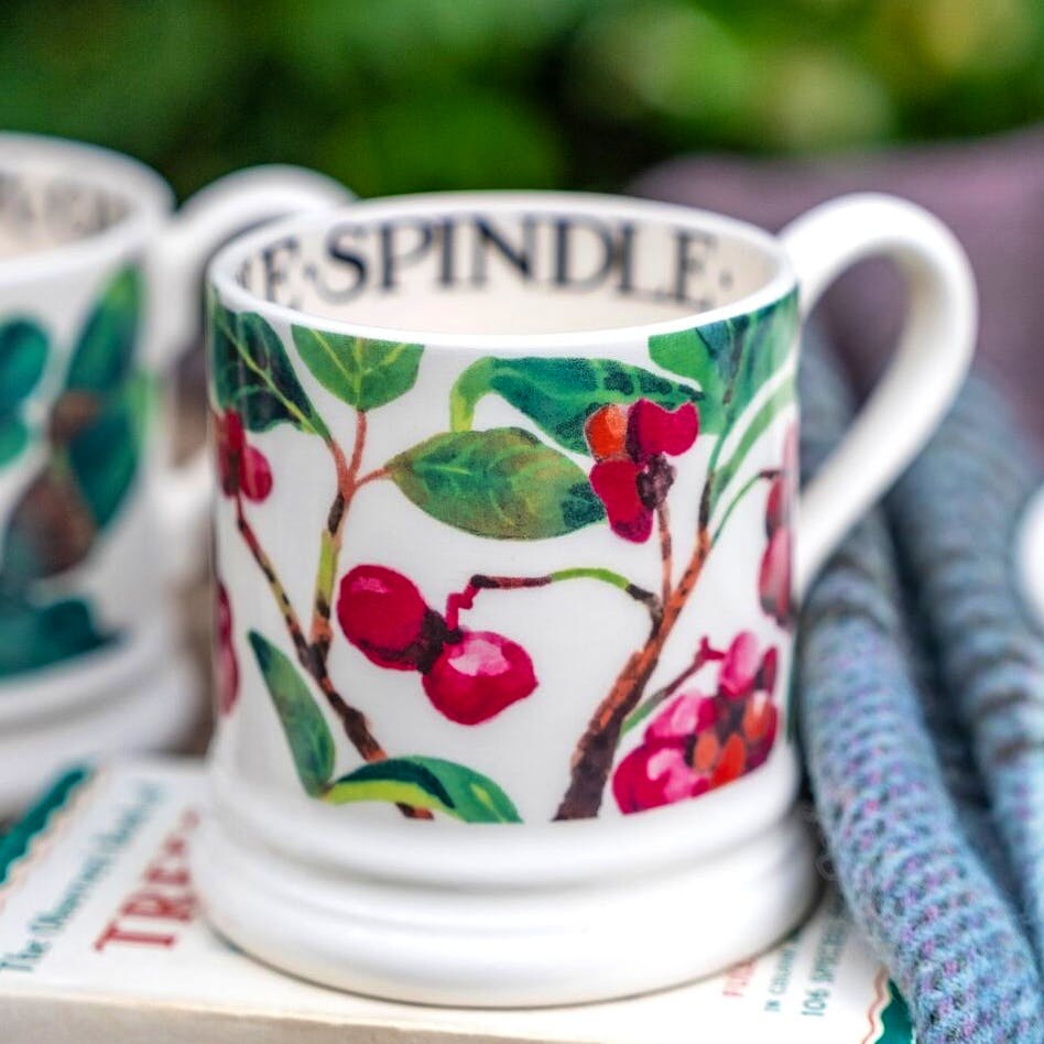 Emma Bridgewater Spindle 1/2 Pint Mug, £25