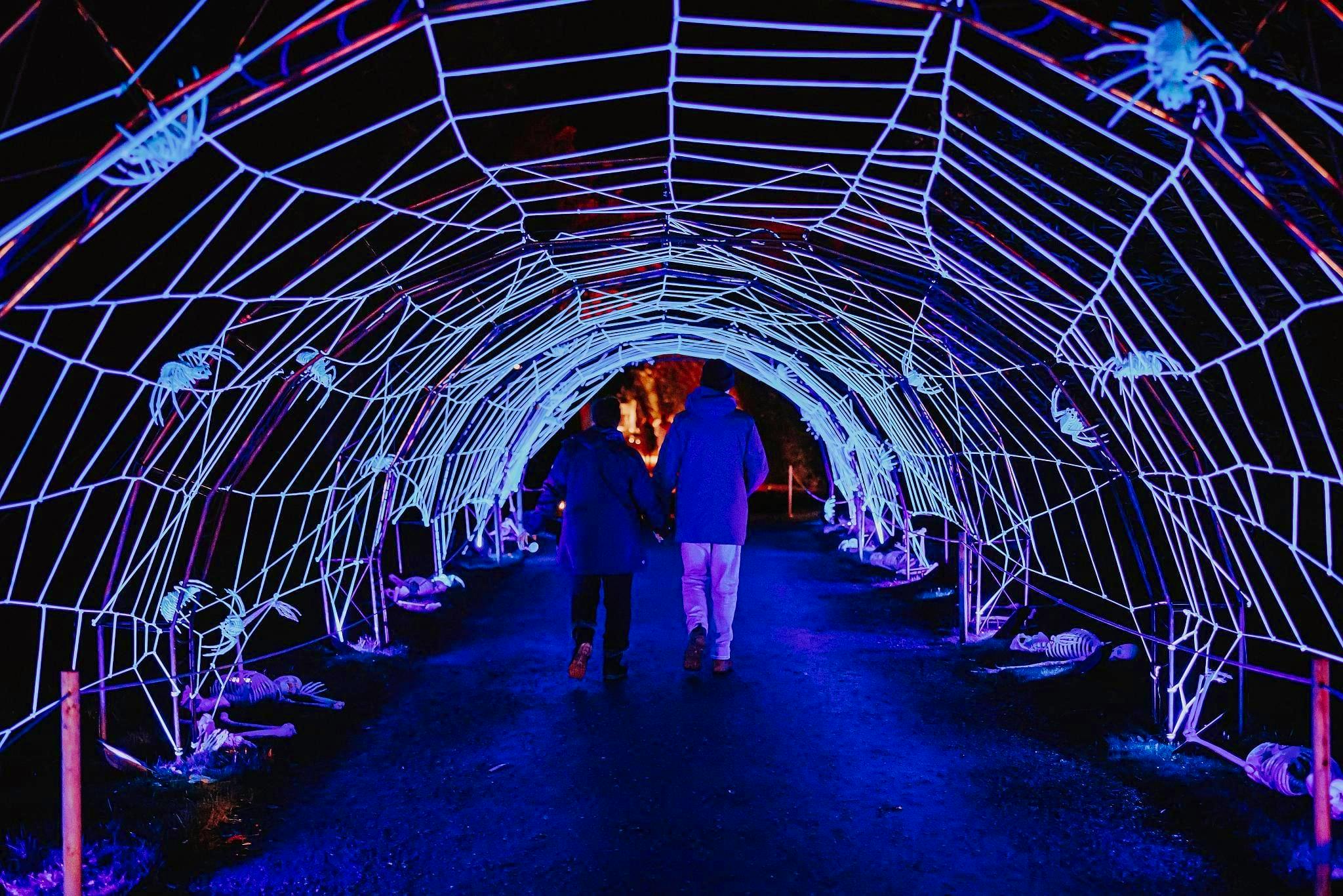 Spider Tunnel at Blenheim