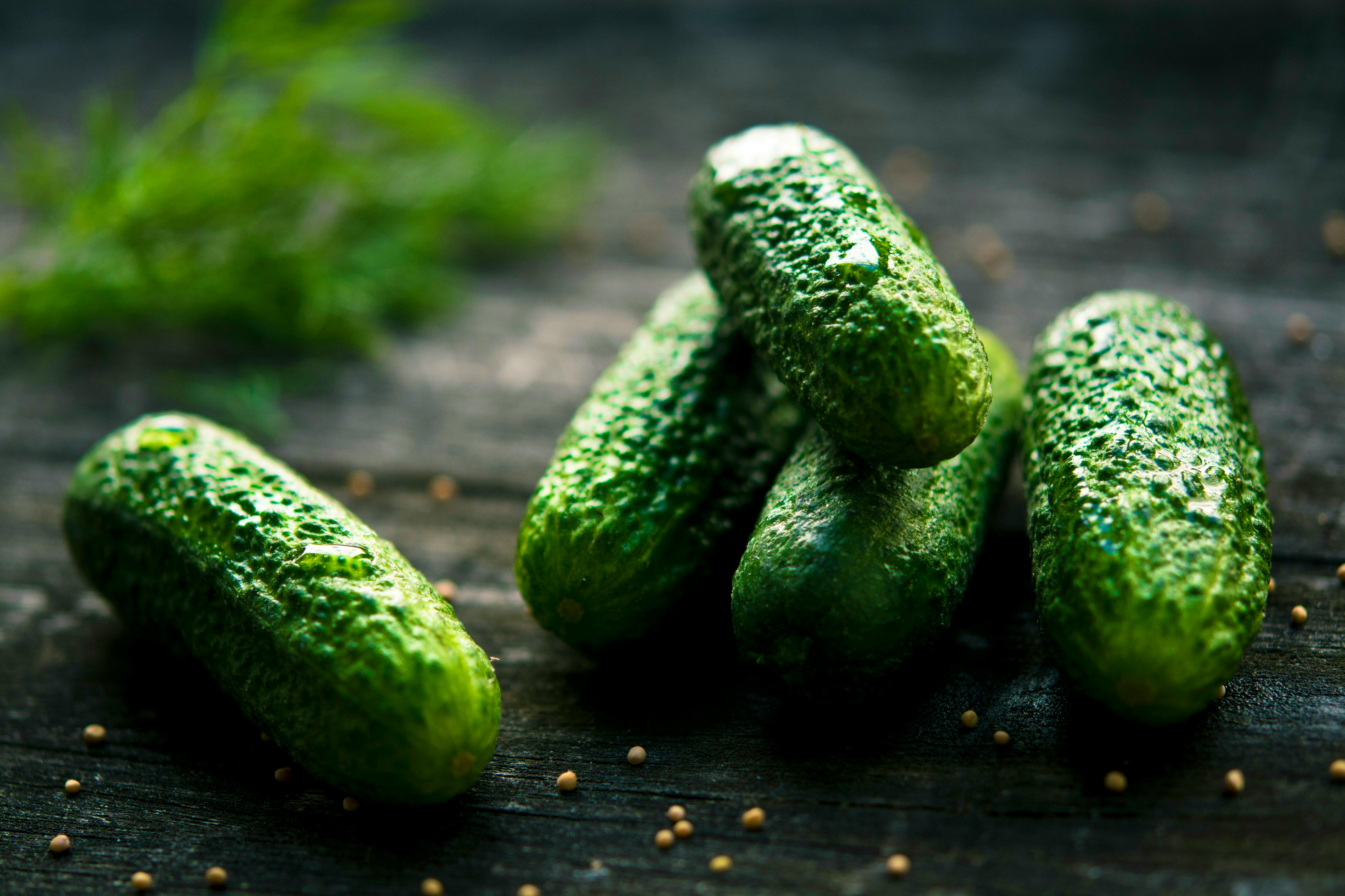 CUCUMBER Jonathan-pielmayer-5OExikUBy0U-unsplash