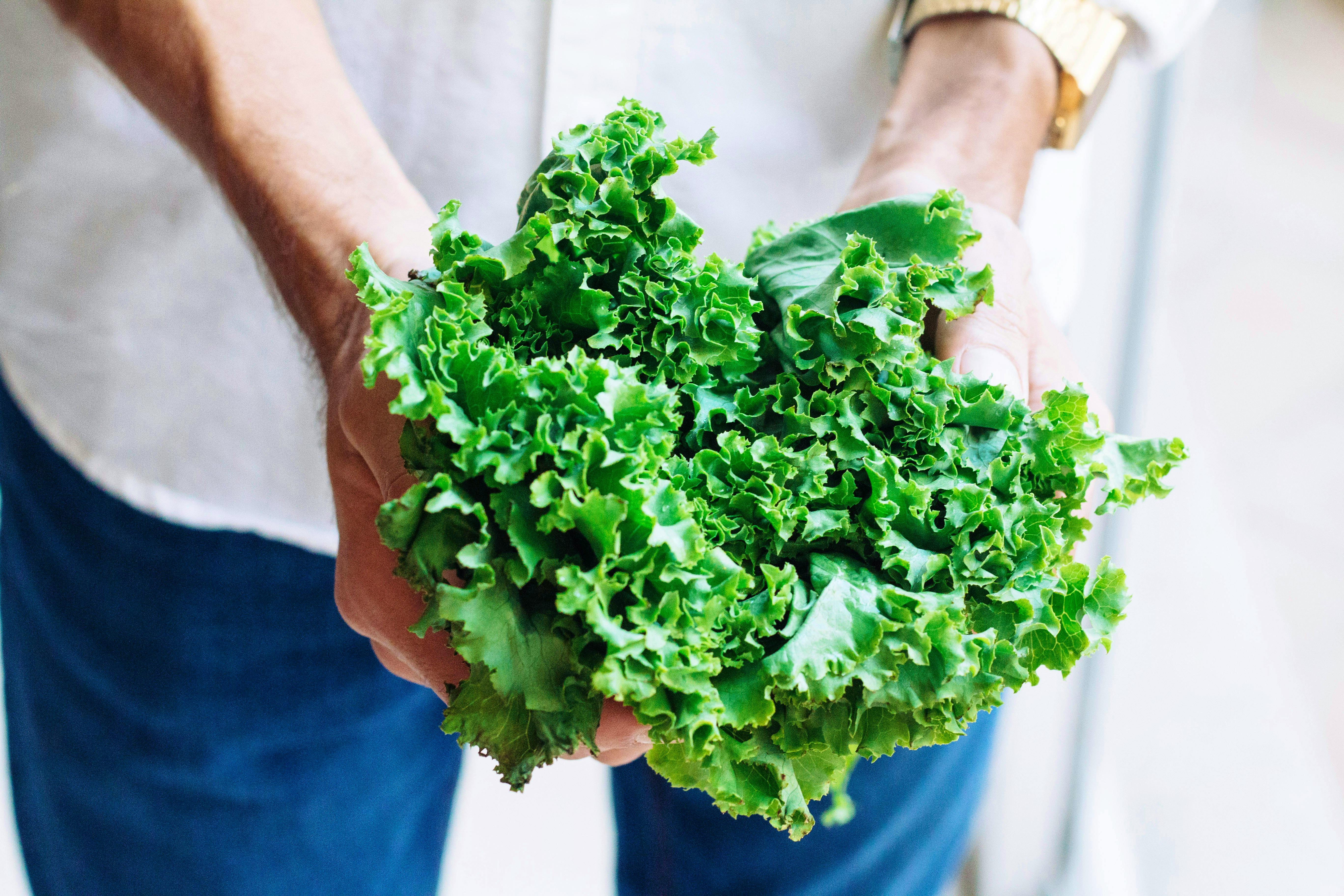 LEAFY GREENS Adolfo-felix-M8bpp4qQZGg-unsplash