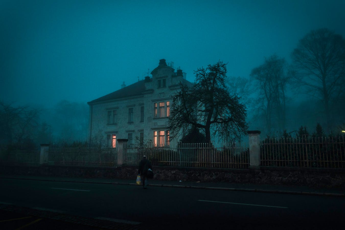 Horror Films Old & New Jan-jakub-nanista-z9hvkSDWMIM-unsplash