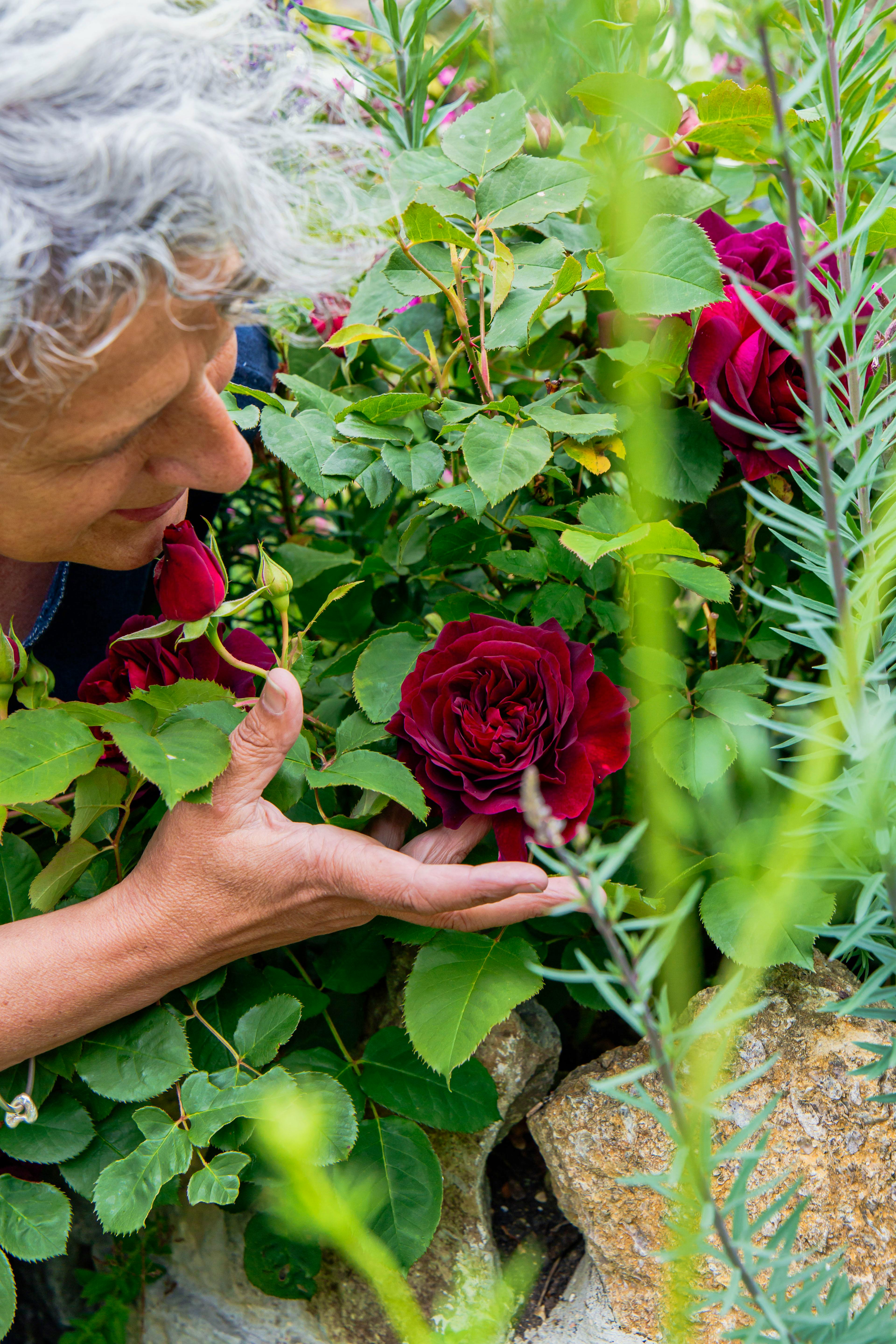 Saskia And Munstead Wood By Daisy Davidson