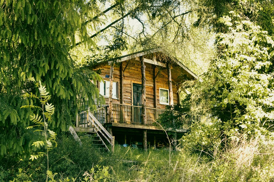 Holiday Cabins Uk Vishnu-prasad-21fF4PSk2-Y-unsplash Copy
