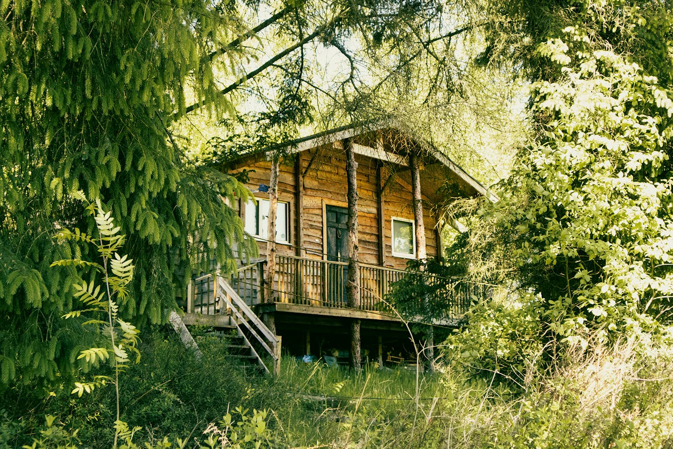 Holiday Cabins Uk Vishnu-prasad-21fF4PSk2-Y-unsplash Copy