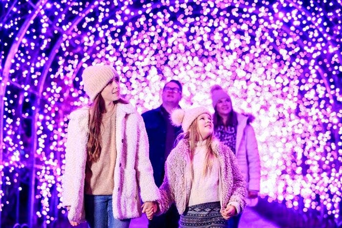 RHS Glow At RHS Rosemoor