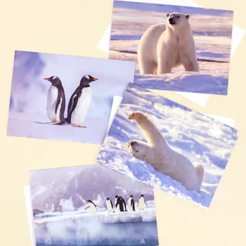WWF