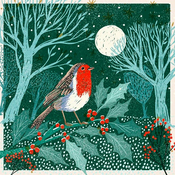 Marie Curie Moonlit Robin Christmas Cards, Pack of 10, £4.99