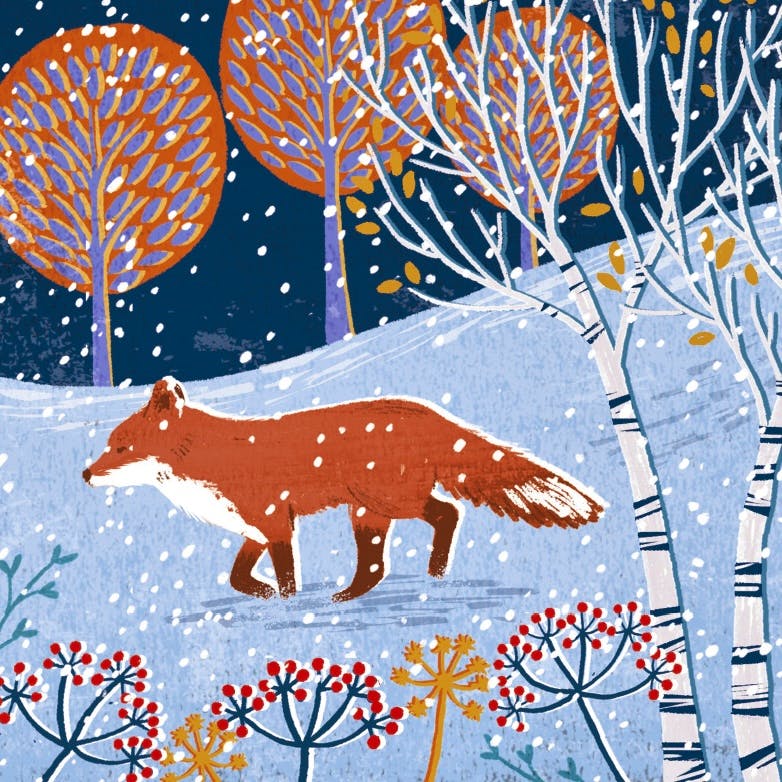 Woodland Trust Fox Footsteps, Pack of 8, £4.99