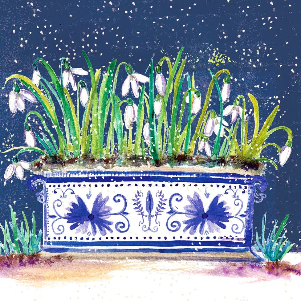 British Red Cross Snowdrop Planter, Pack of 10, £3.75