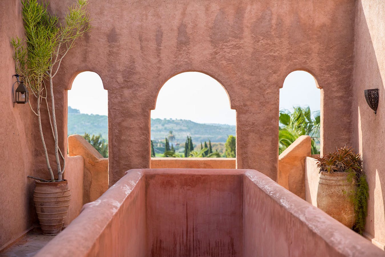 48711460978_ac0793c4ed_o