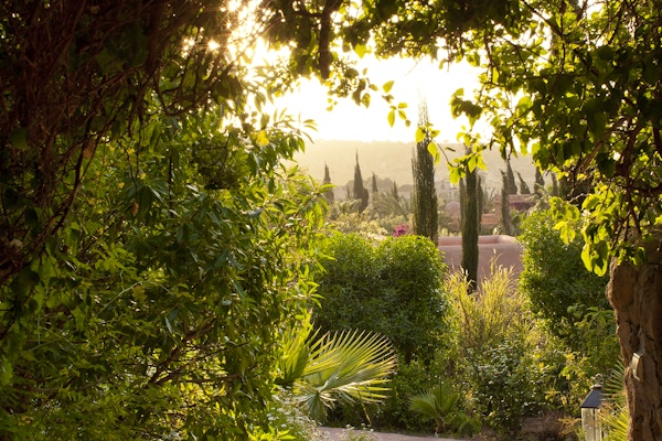 48711821891_b72e111e83_o