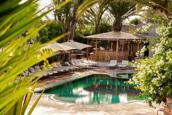 48711794876_a1168369f5_o