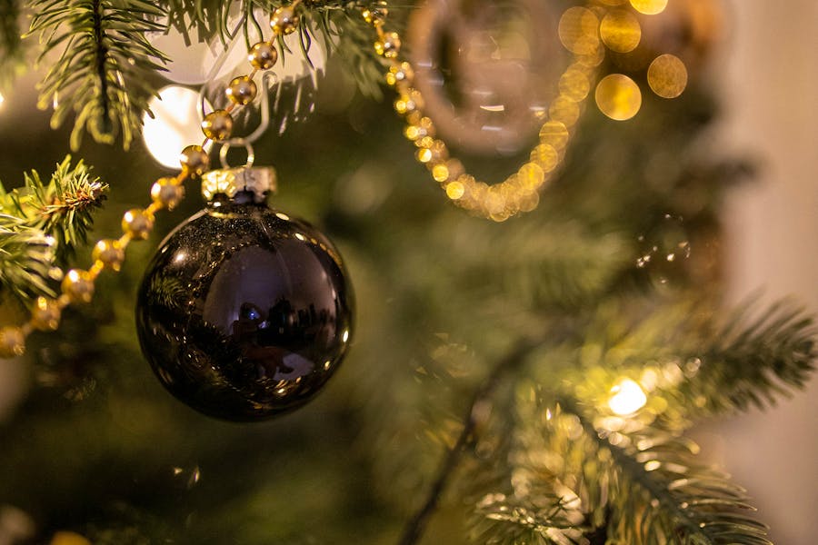 Xmas Looks Dimitri-karastelev-Qf1236k8JBo-unsplash Copy