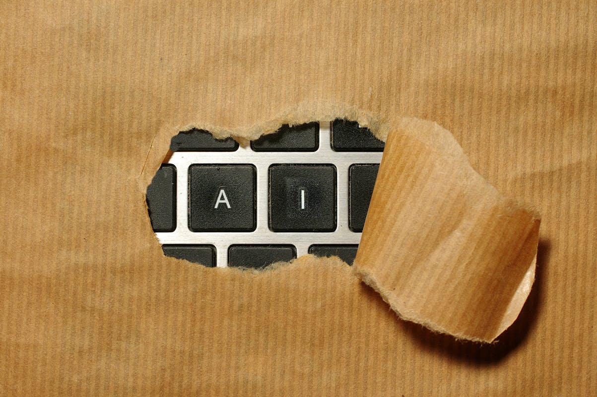 Ai Xmas Immo-wegmann-vi1HXPw6hyw-unsplash