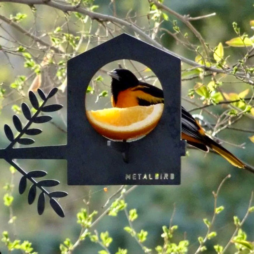 Metalbird Bird Feeder, £29.99